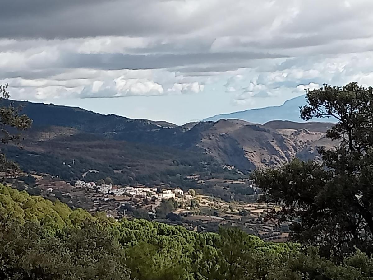 La Casita Villa Capileira Eksteriør billede